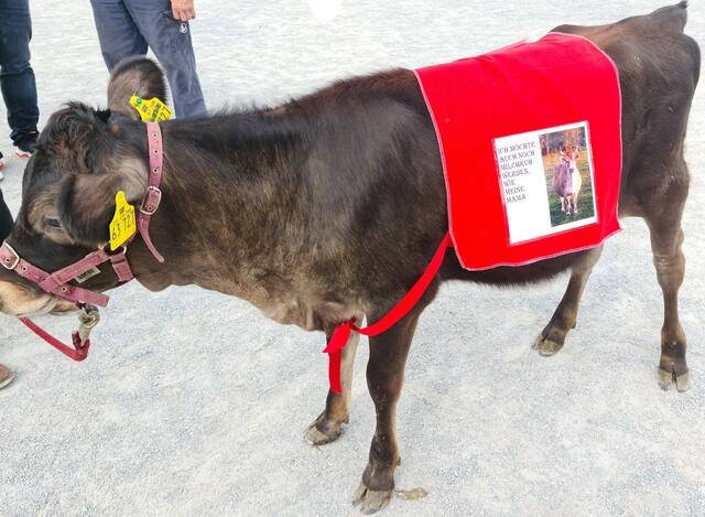 … Kalb protestieren mit!