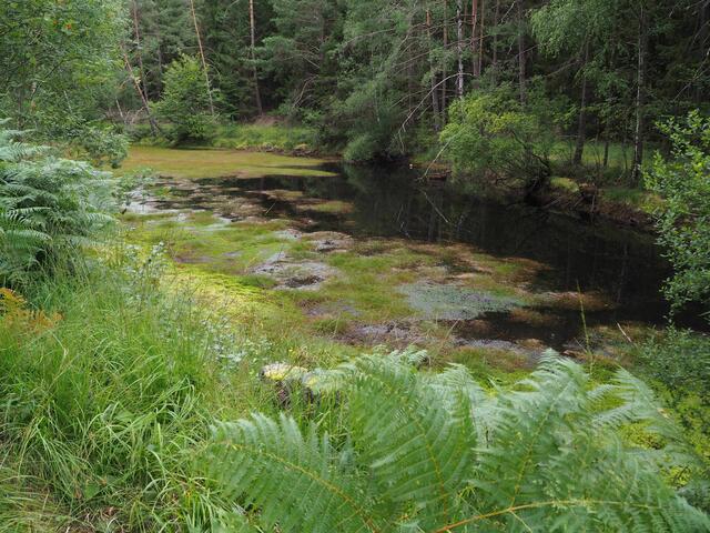 Am "Schwarzen See". Foto: W. Döhler