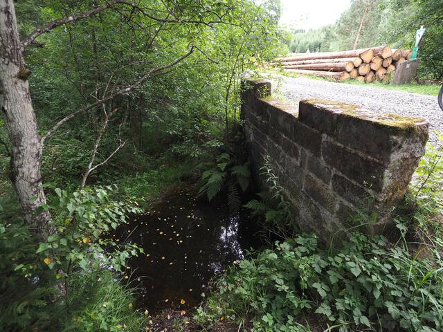 Alte Sandsteinbrücke am "Roten Wasser". Foto: W. Döhler