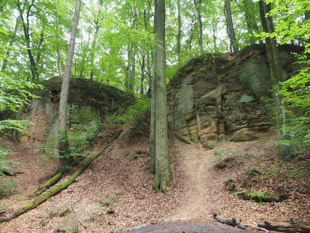 Sandsteinfelsformationen "Großer Badenstein". Foto: W. Döhler