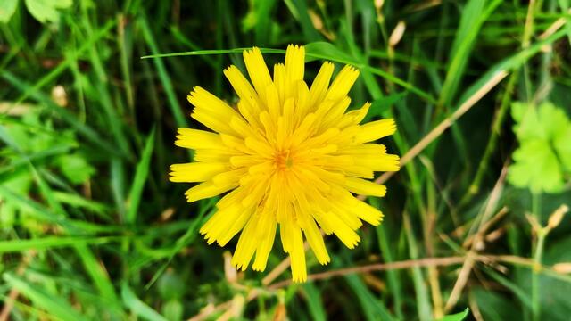 29. August 2020. Altwarmbüchener See. III. Bleibt gesund!