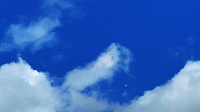 29. August 2020. Altwarmbüchener See. III. Bleibt gesund!