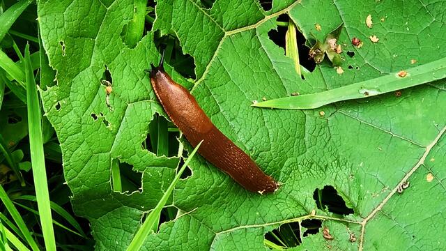 29. August 2020. Altwarmbüchener See. III. Bleibt gesund!