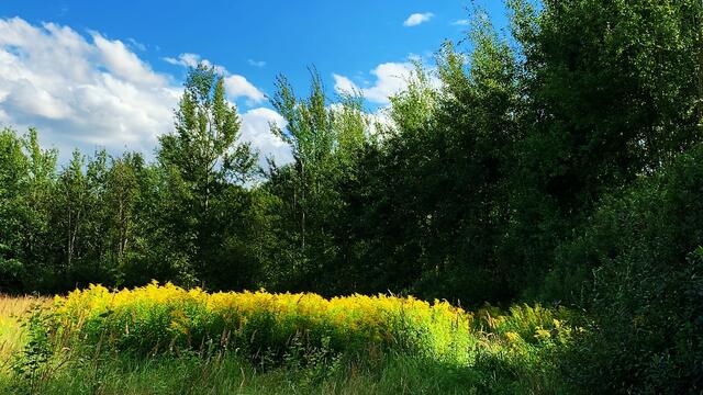 29. August 2020. Altwarmbüchener See. III. Bleibt gesund!