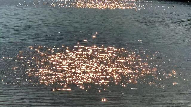 27. August 2020. Altwarmbüchener See.  II. Bleibt gesund!