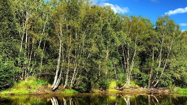 29. August 2020. Altwarmbüchener See. III. Bleibt gesund!