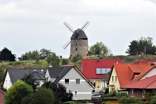 Blick auf die Warnstedter Windmühle vom Westen