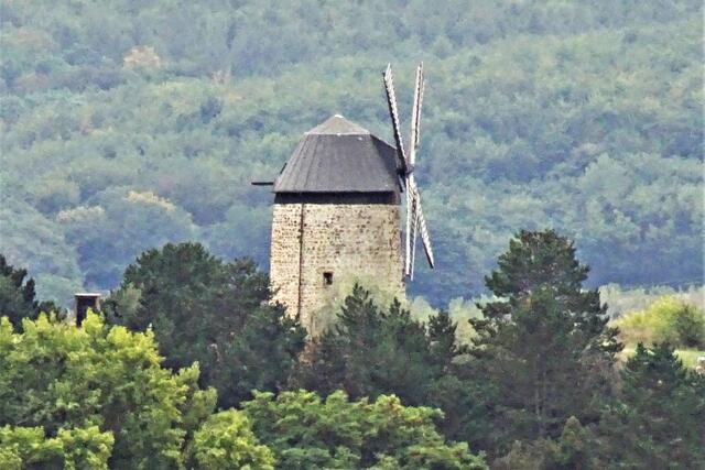 die Warnstedter Holländer - Mühle