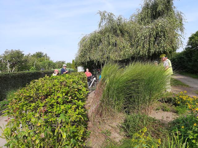 Rast am Schrebergarten "Burgfrieden"