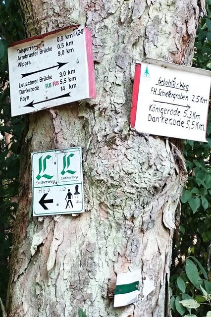 im Wippertal mit dem Lutherweg