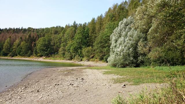 Wippertalvorsperre