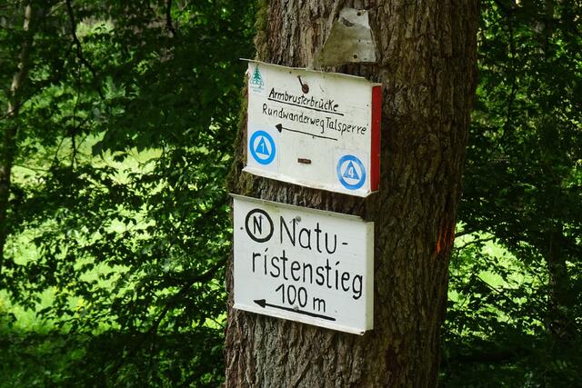 An der  Armbrusterbrücke im Wippertal kommt man auf den Dankeröder Naturistenstieg