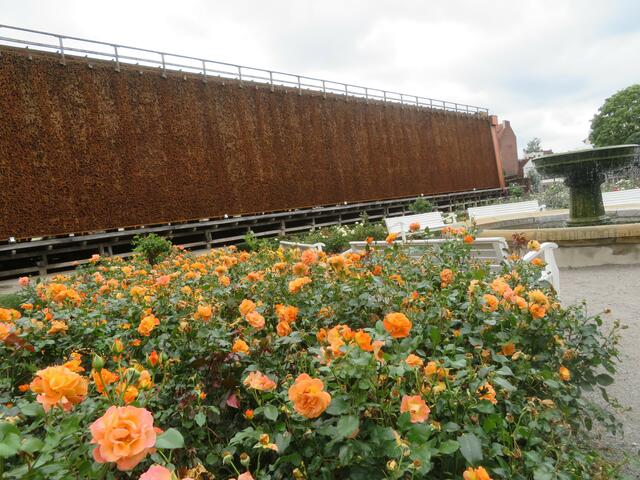 Rosenbeet vor dem Gradierwerk.