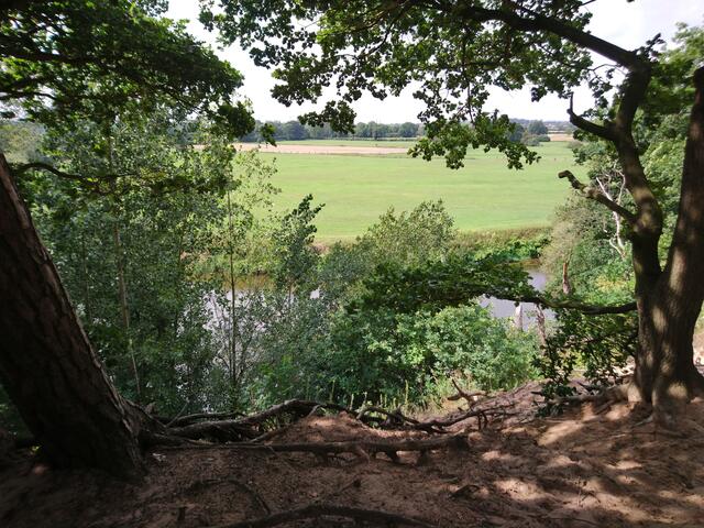 Leineblick