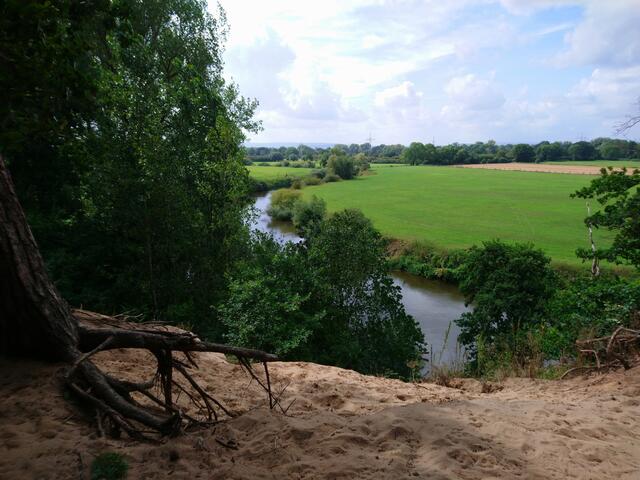 Leineblick