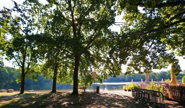 Morgenstimmung am Silbersee