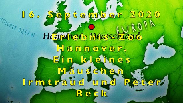 16. September 2020. Erlebnis-Zoo Hannover. Ein kleines Mäuschen. Bleibt gesund!