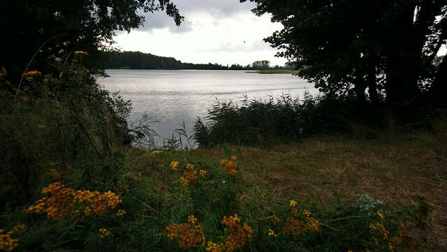 Blick auf den Witzesee