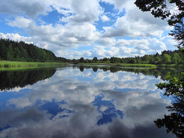 Wildecker Teiche in der Südheide
