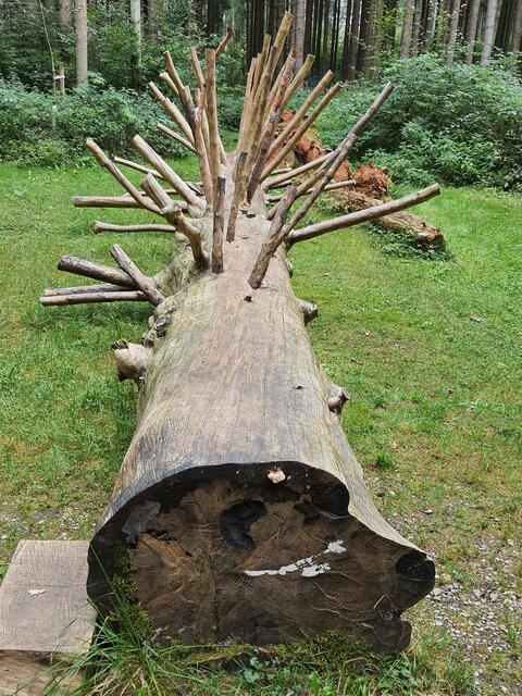 Bizarre Baumkunst