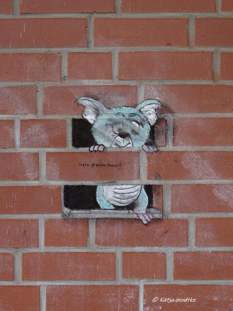 Vergängliche Kunst aus Kreide - herzlichen Dank an Shivan Shareef für dieses zauberhafte Kunstwerk! Entdeckt im Langenhagener Stadtzentrum. Den Künstler findet ihr auch auf Instagram. (Foto: Katja Woidtke)