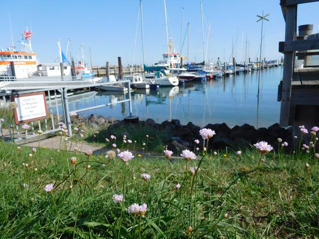 Der Seezeichenhafen von Steenodde