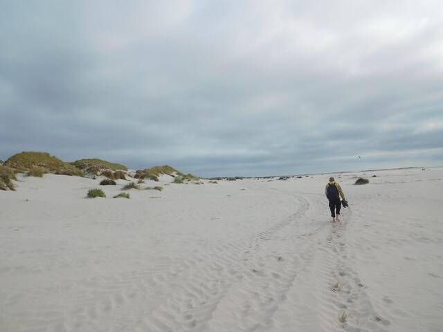 Spaziergang durch den Kniepsand