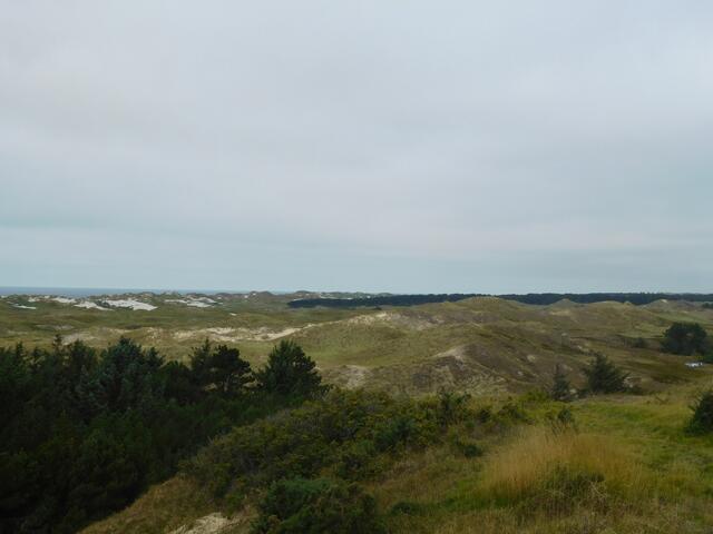 Dünenlandschaft auf der Insel Amrum