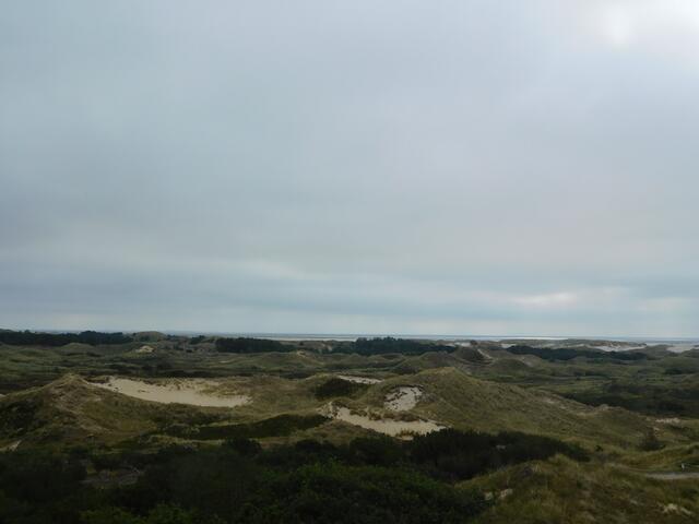 Durch diese Dünenlandschaft führen Bohlenwege zum Strand.