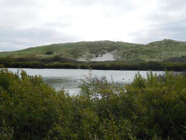 Der Wriakshörnsee auf der Insel Amrum