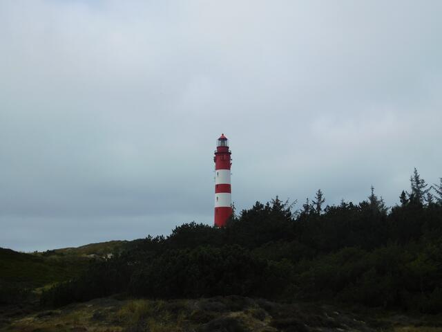 Der Leuchtturm bei Nebel auf der Insel Amrum