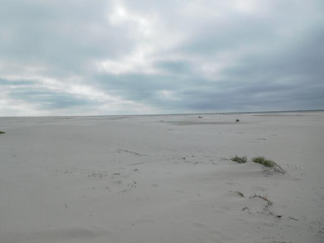 Der Kniepsand auf Amrum