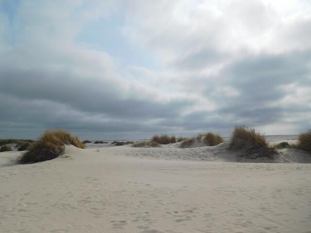 Der Amrumer Kniepsand