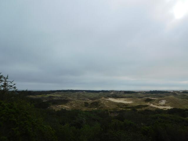 Dünenlandschaft auf der Insel Amrum