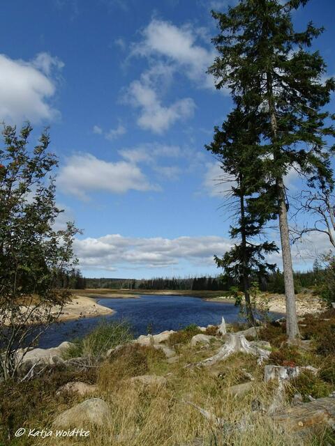Wandertipp Harz - rund um den Oderteich (Foto: Katja Woidtke)