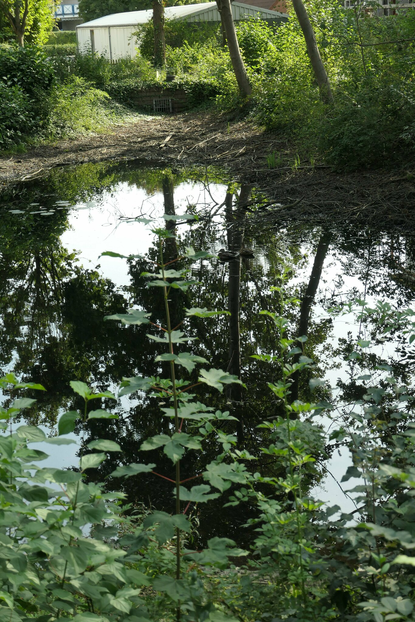 Regenauffangbecken Rethen Laatzen