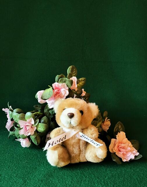 ...und wo eine Puppe ist, das ist auch meistens ein Teddy nicht weit...!!! ;-)