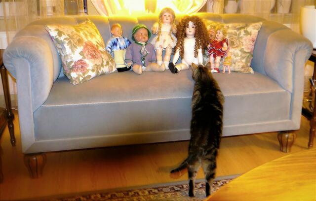 Lilli hat sie alle inspiziert...!!! ;-)))