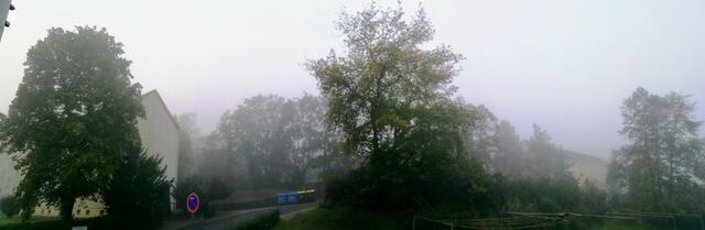 Temperaturen :
Nachts 4,8 Grad  /  8:56  8,47 Grad  /  14:32  12,6 Grad 

In der Nacht war es schon empfindlich kalt, aber die Morgensonne hat uns geweckt, jetzt ist es reichlich bewölkt mit fast keinem Wind, was sehr erfreulich ist da wir zum Zwiebelmarkt nach Querfurt möchten ! 
Wir wünschen euch einen entspannten Sonntag !