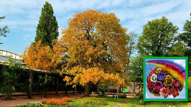 3. Oktober 2020. Stadtpark I. in Hannover am Congress Centrum. Bleibt gesund!