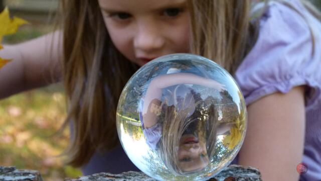 Der Froschkönig ist auch nicht mehr das was er mal war