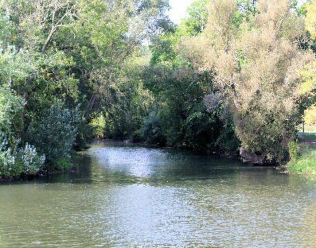 wilde Saale