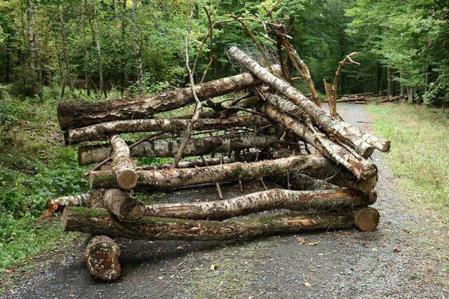 Eine Barrikade im Danni, welche inzwischen zerstört wurde