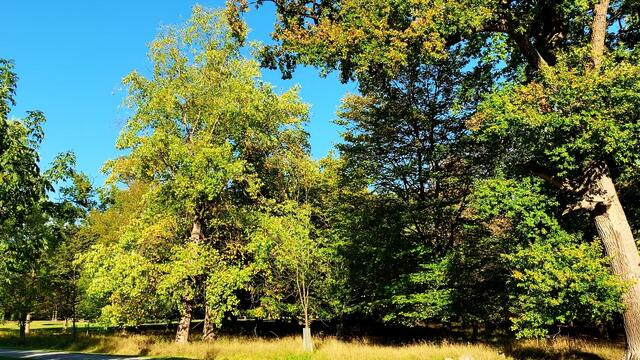 10. Oktober 2020. Tiergarten Hannover. Bleibt gesund!