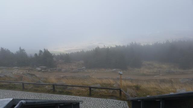 ..... Aussicht (fast) keine.....
