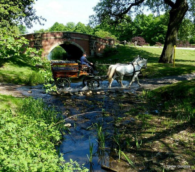 Wörlitzer Park- Friderikenbrücke