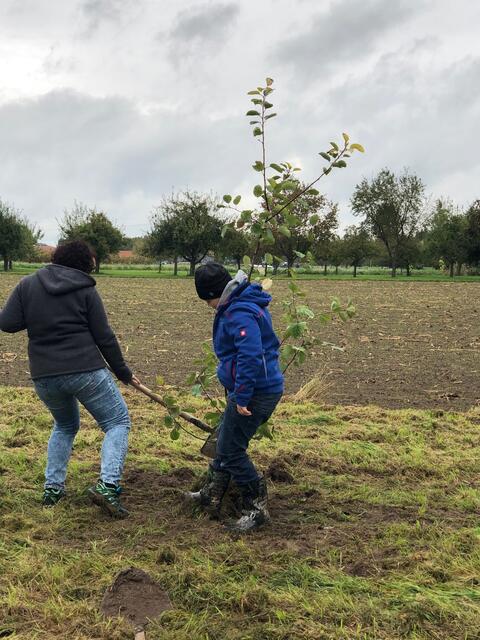 Fleißig, fleißig!!!