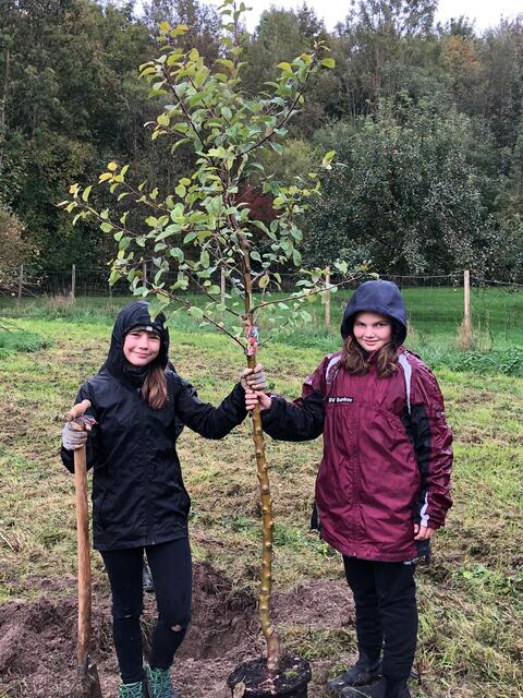 Veronika (links) und Hanna pflanzen ein Apfelbäumchen.