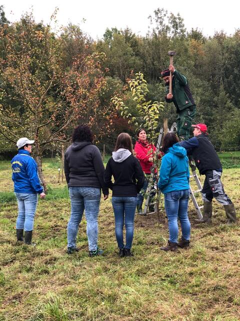 Körperliche Kraft ist angesagt.
