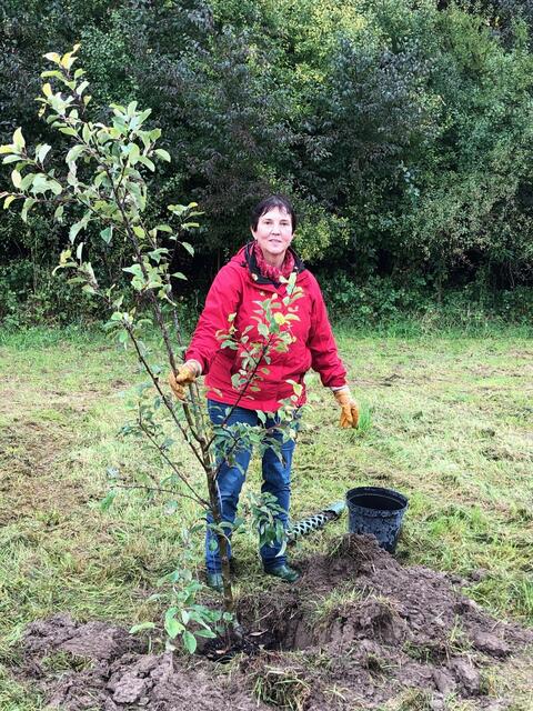 Auch Bürgermeisterin Christine Gumpp half fleißig bei der Anpflanzaktion mit.